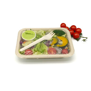 Compostable Containers (950ml)